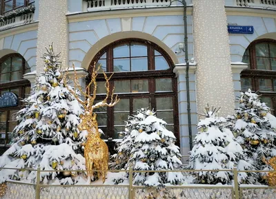 Бесплатные стоковые фото на тему деревья, зима, зимний пейзаж, мороз,  природа, простуда, снег картинки