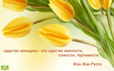 quotes_for_memories #цитаты #мысли | TikTok картинки