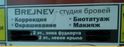 Появление подвижных собачьих бровей объяснили одомашниванием / собакены ::  брови :: образовач / смешные картинки и другие приколы: комиксы, гиф  анимация, видео, лучший интеллектуальный юмор. картинки