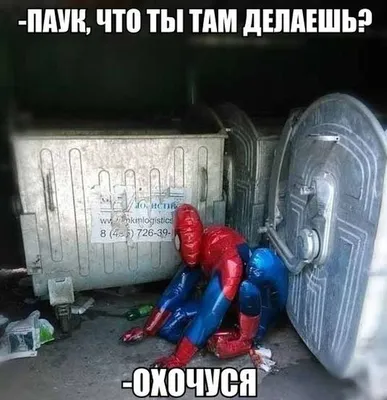 Spider Man (Человек-паук, Дрюжелюбный сосед, Спайди, Питер Паркер) /  картинки, гифки, прикольные комиксы, интересные статьи по теме. картинки