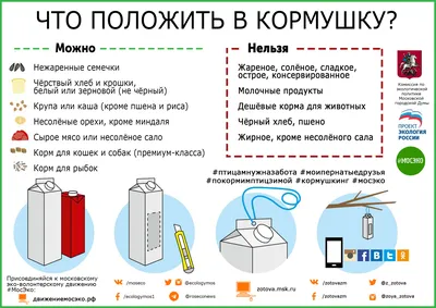 🐦 Чем кормить птиц зимой? | SIMA-LAND.RU картинки