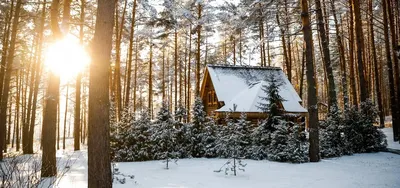 Чудесная зима» — создано в Шедевруме картинки