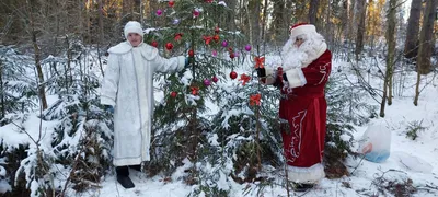 Чудесная зима | Убежище философа | Дзен картинки