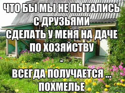 20 дачных приколов, которые поднимут всем настроение / Писец - приколы  интернета картинки