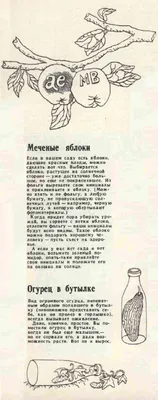 20 дачных приколов, которые поднимут всем настроение / Писец - приколы  интернета картинки