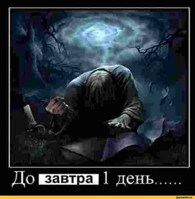 демотиваторы / смешные картинки и другие приколы: комиксы, гиф анимация,  видео, лучший интеллектуальный юмор. картинки