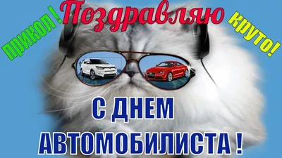 День Автомобилиста Видео поздравление с днем автомобилистов прикольные в...  | Цитаты знаменитостей, Видео, Открытки картинки