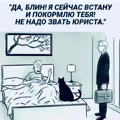 День юриста в Украине 2023: история праздника, поздравления, открытки,  прикольные sms — Разное картинки