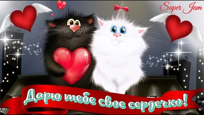 💘 Идеи на День Влюбленных 💘 ПРИКОЛЫ на 14 ФЕВРАЛЯ от Святого Валентина -  Дизель Шоу 2020 - YouTube картинки