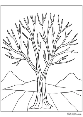 Раскраски Деревья зимой | Tree coloring page, Winter trees, Coloring pages картинки