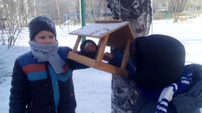 МУНИЦИПАЛЬНОЕ БЮДЖЕТНОЕ ДОШКОЛЬНОЕ ОБРАЗОВАТЕЛЬНОЕ УЧРЕЖДЕНИЕ \"ДЕТСКИЙ САД  №3\". ПОКОРМИТЕ ПТИЦ ЗИМОЙ! картинки