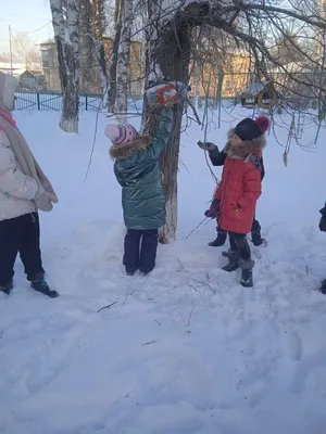 Покормите птиц\" | МКУ \"Управление культуры Новосибирского района\" картинки