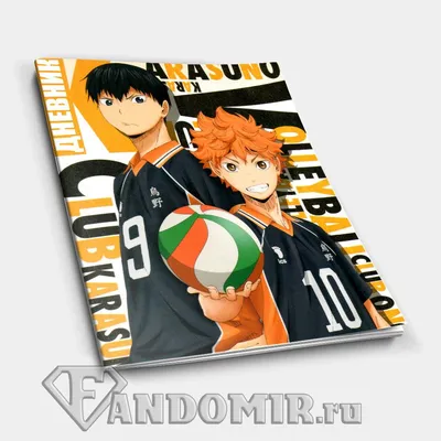 Школьный дневник HAIKYUU #1 купить в интернет-магазине FandoMir картинки