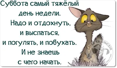 Доброе утро Суббота прикольные и смешные картинки (77 картинок) - ФУДИ картинки