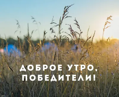 Доброе утро | Доброе утро, Цитаты для поднятия настроения, Утренние цитаты картинки