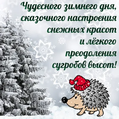 Мудрая бабулечка added a new photo. - Мудрая бабулечка картинки