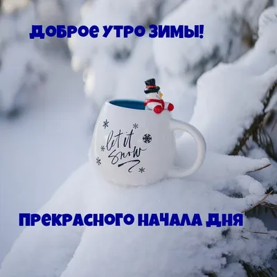 с добрым утром зимнего понедельника 2023｜Поиск в TikTok картинки
