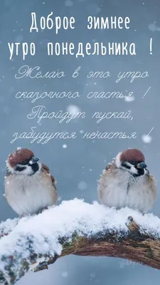 Открытки \"Доброго утра!\" в понедельник (100+) картинки
