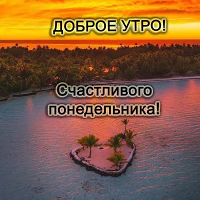 Доброе утро понедельника! Лёгкой недели! #👋🤗😘💃⚘️ #30января #тебе #... |  TikTok картинки