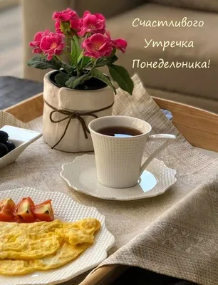 Открытки с добрым утром понедельника - 73 фото картинки