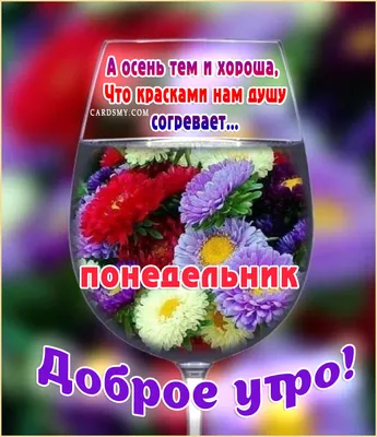 https://shedevrum.ai/post/e33f40fb921e11ee9daa3abd0be4d755 картинки