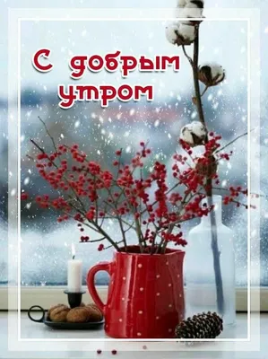 С Добрым Утром Понедельника Друзья!С Началом Новой Недели!Удачи во в... |  TikTok картинки