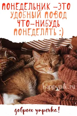 С Добрым утрм понедельника (70 штук) картинки
