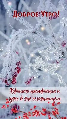 Доброе утро понедельника картинки прикольные смешные картинки