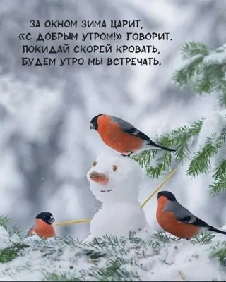 Доброе утро, февраль-зима и понедельник: erofotos — LiveJournal картинки