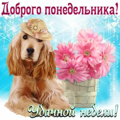 Пин от пользователя Оксана Берчук на доске Картинки | Утро понедельника, Доброе  утро, Зимние картинки картинки