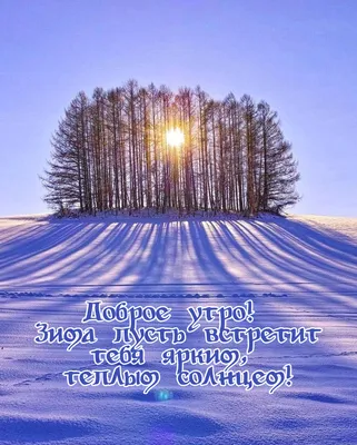 Картинки \"Доброе утро. Понедельник\" (715 шт.) картинки