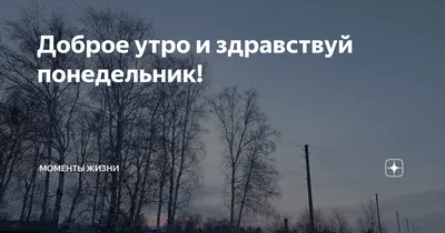 Картинки \"Доброго Утра Понедельника!\" (152 шт.) картинки