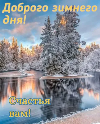 Доброе утро! ❤️Чудо природы - гроздья рябины зимой...❤️Невероятно  красиво!❤️Good morning!❤️ - YouTube картинки