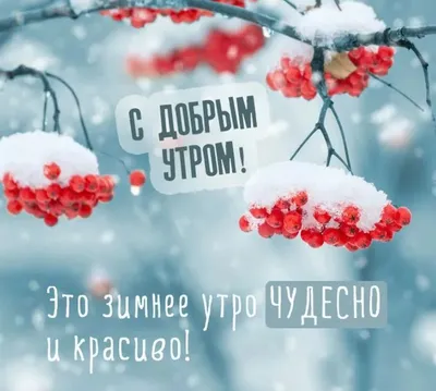 Картинки С добрым зимним утром с пожеланиями. 60 интересных открыток. |  Новогодние цитаты, Зимние цитаты, Счастливые картинки картинки