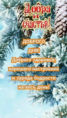 Счастье - Добрый день, друзья! Первый снег ❄️ у подножия горы, говорит о  скором наступлении сезона, кстати власти наметили официальную дату открытия  сезона 14 ноября, ждём всех на #Sheregeshfest #sheregesh #шерегеш #счастье # картинки