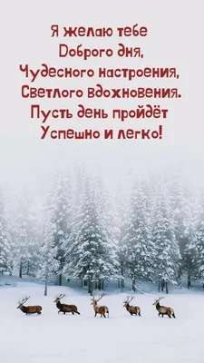 Добрый день ❄️🩵❄️ +в зимней берё…» — создано в Шедевруме картинки