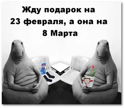 Жду подарок на 23 февраля, а она на 8 Марта #сарказм #подарок #8марта  #23февраля #приколы | Надписи, Картинки, Карикатура картинки