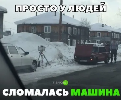 Прикольные картинки » Приколы, юмор, фото и видео приколы, красивые девушки  на кайфолог.нет картинки