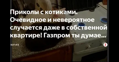 Победа с разгромным счетом. \"Факел\" взял реванш за поражение в первом круге  у «Газпром-Югра-дубль» - YouTube картинки