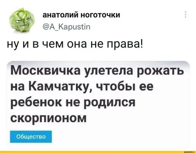 Анекдоты про гороскоп - смешные шутки про знаки Зодиака и астрологов -  Телеграф картинки