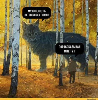 Кружка \"надписи приколы грибы притворное зелье - 9527\", 330 мл - купить по  доступным ценам в интернет-магазине OZON (519114773) картинки