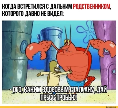 Губка Боб Квадратные Штаны (SpongeBob SquarePants) / смешные картинки и  другие приколы: комиксы, гиф анимация, видео, лучший интеллектуальный юмор. картинки