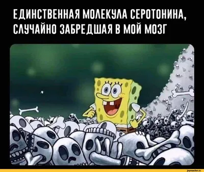 Губка Боб (SpongeBob SquarePants) :: Nickelodeon :: Мультфильмы :: смешные  картинки (фото приколы) / смешные картинки и другие приколы: комиксы, гиф  анимация, видео, лучший интеллектуальный юмор. картинки