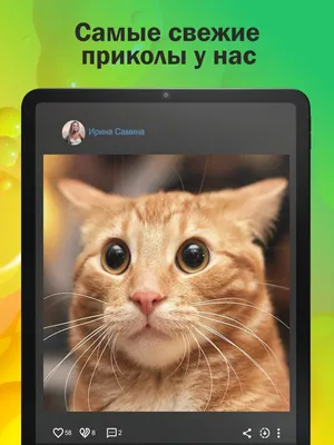 ГыГы Приколы: гифки мемы видео on the App Store картинки