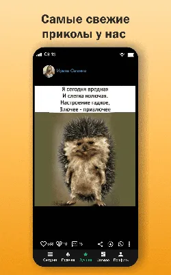 ГыГы Приколы приложение для Android и IOS с приколами | Посылки с Али | Дзен картинки