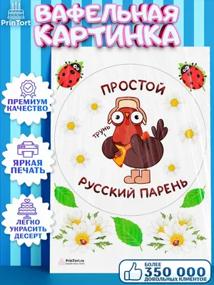 Красавчик картинки