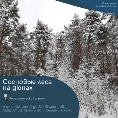 Интересные уголки России, которые особенно красивы зимой | СЕМЬЯ.  ОБРАЗОВАНИЕ. ТРАДИЦИИ | Дзен картинки