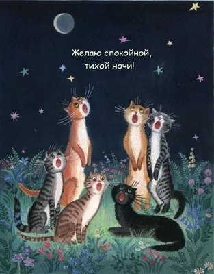 Яркие открытки и прикольные картинки про понедельник | Открытки, Смешные  надписи, Картинки картинки