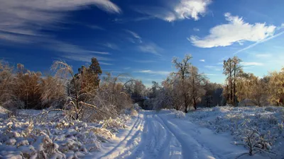 Зима. Пейзаж. Красивый пейзаж, …» — создано в Шедевруме картинки