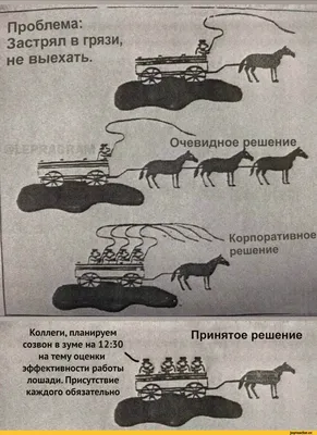 Камеди Клаб | Харламов, Кравец, Карибидис, Трио из Питера | 1 000 000  подписчиков ТНТ4 - YouTube картинки